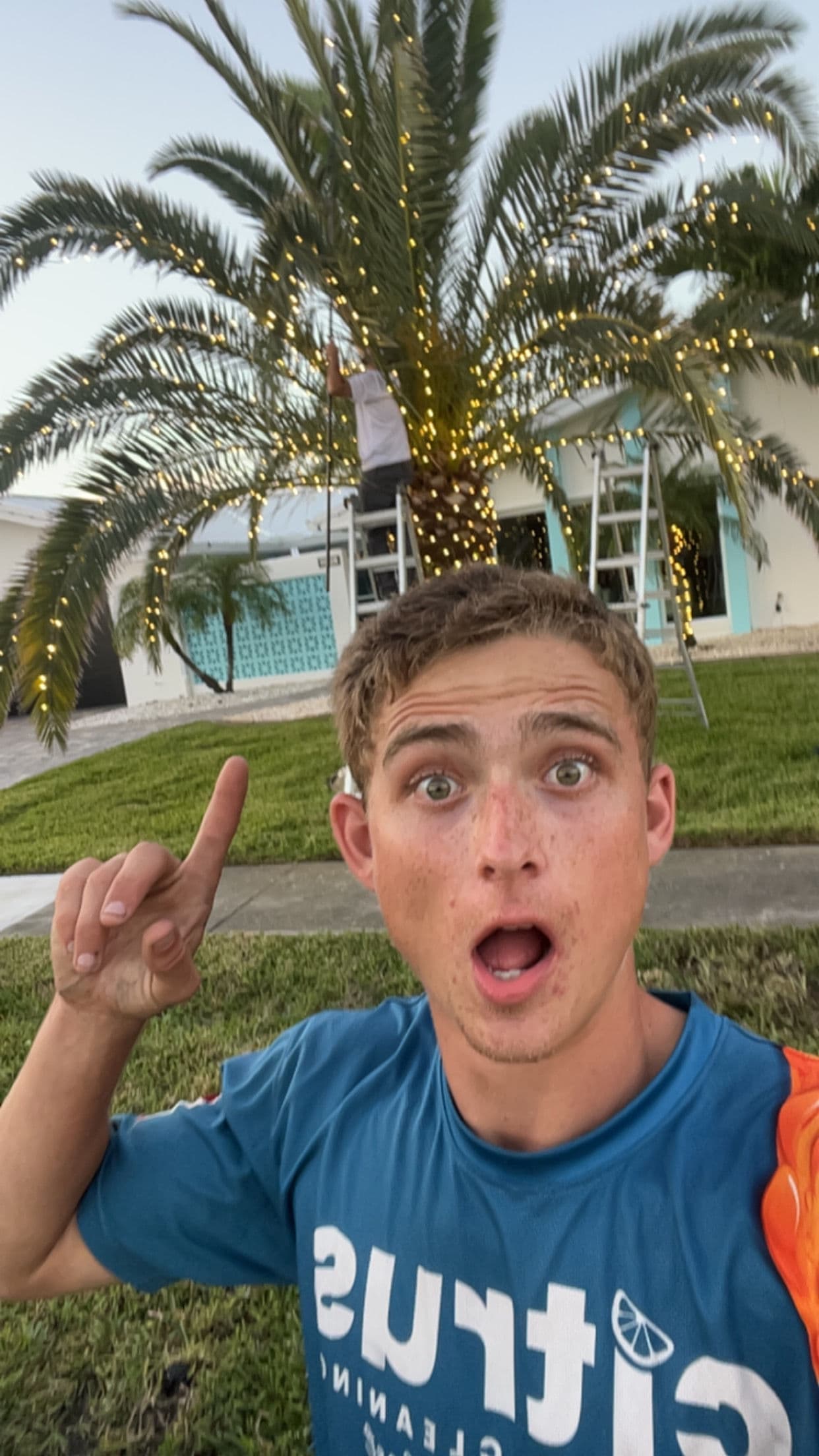Project Christmas Lights on Palm Trees Done Right image