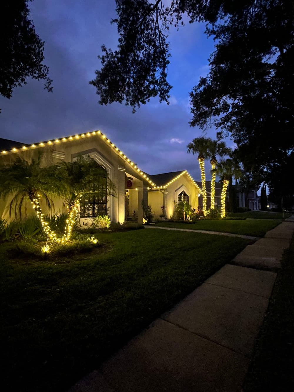 Elegant home adorned with warm white string lights at night, surrounded by lush greenery.
