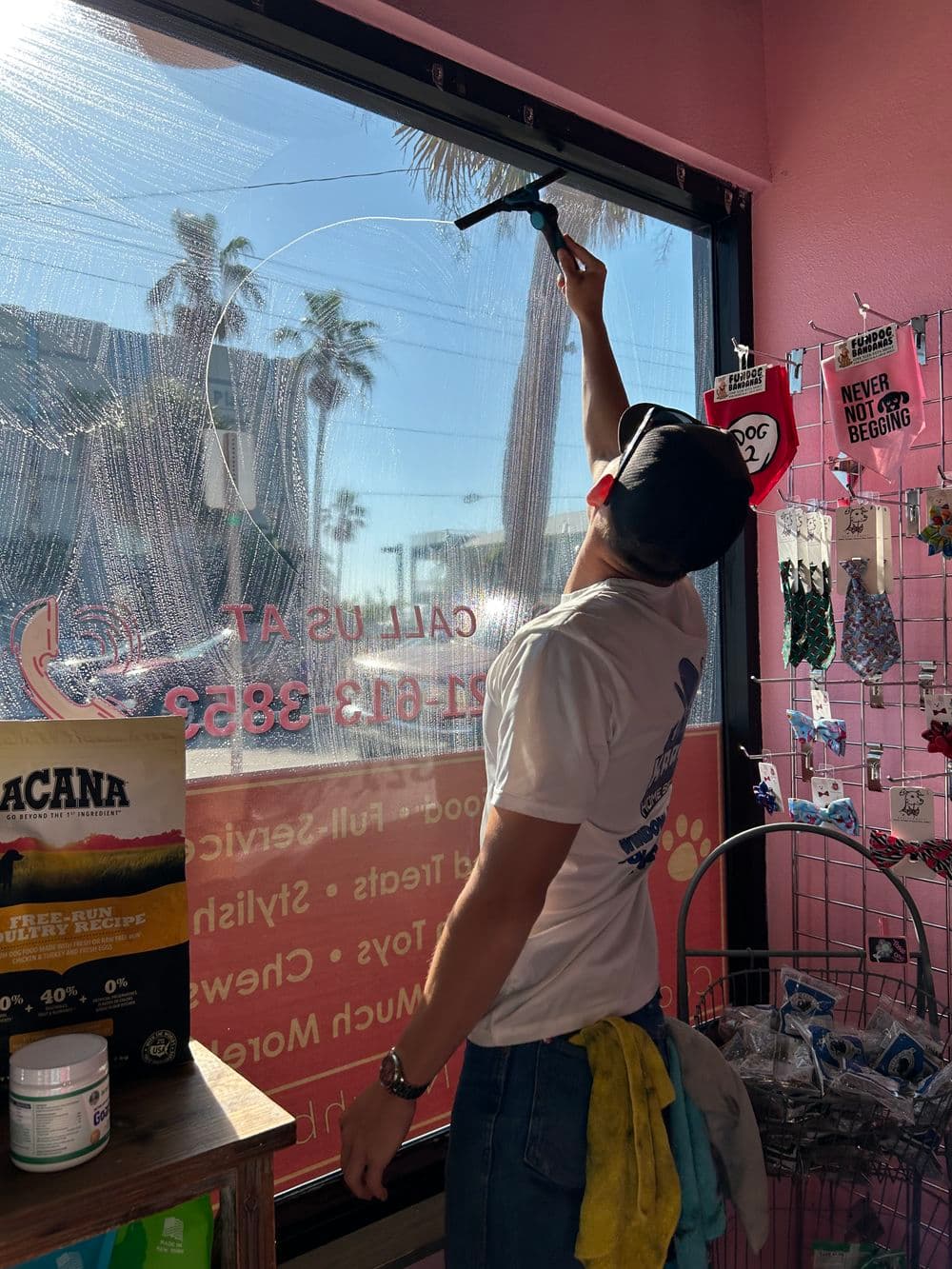 Person using a squeegee to clean a store window with palm trees in the background.