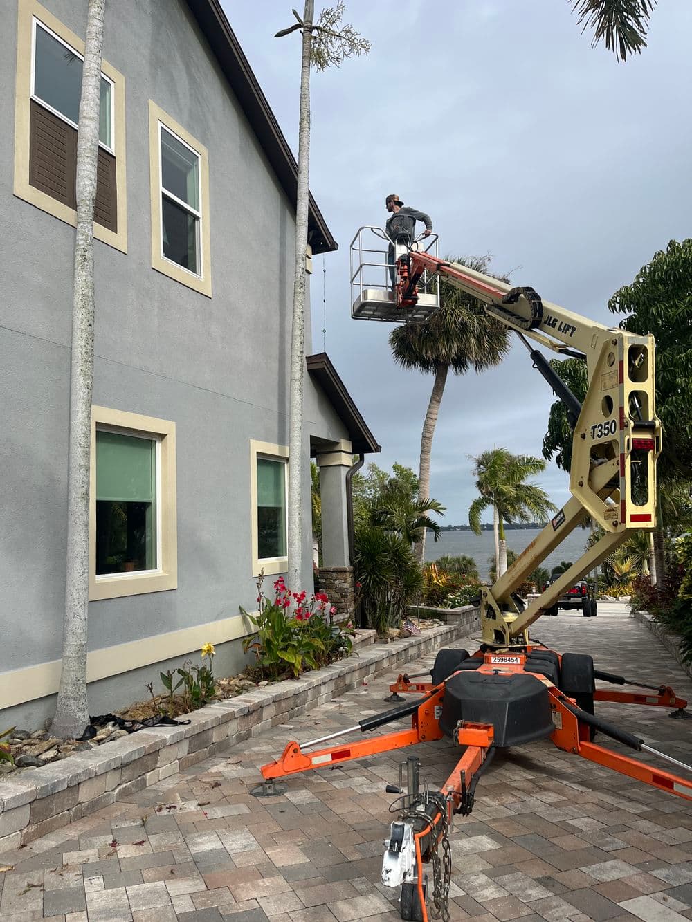 Tree trimming in progress using a lift beside a modern home with tropical landscaping.