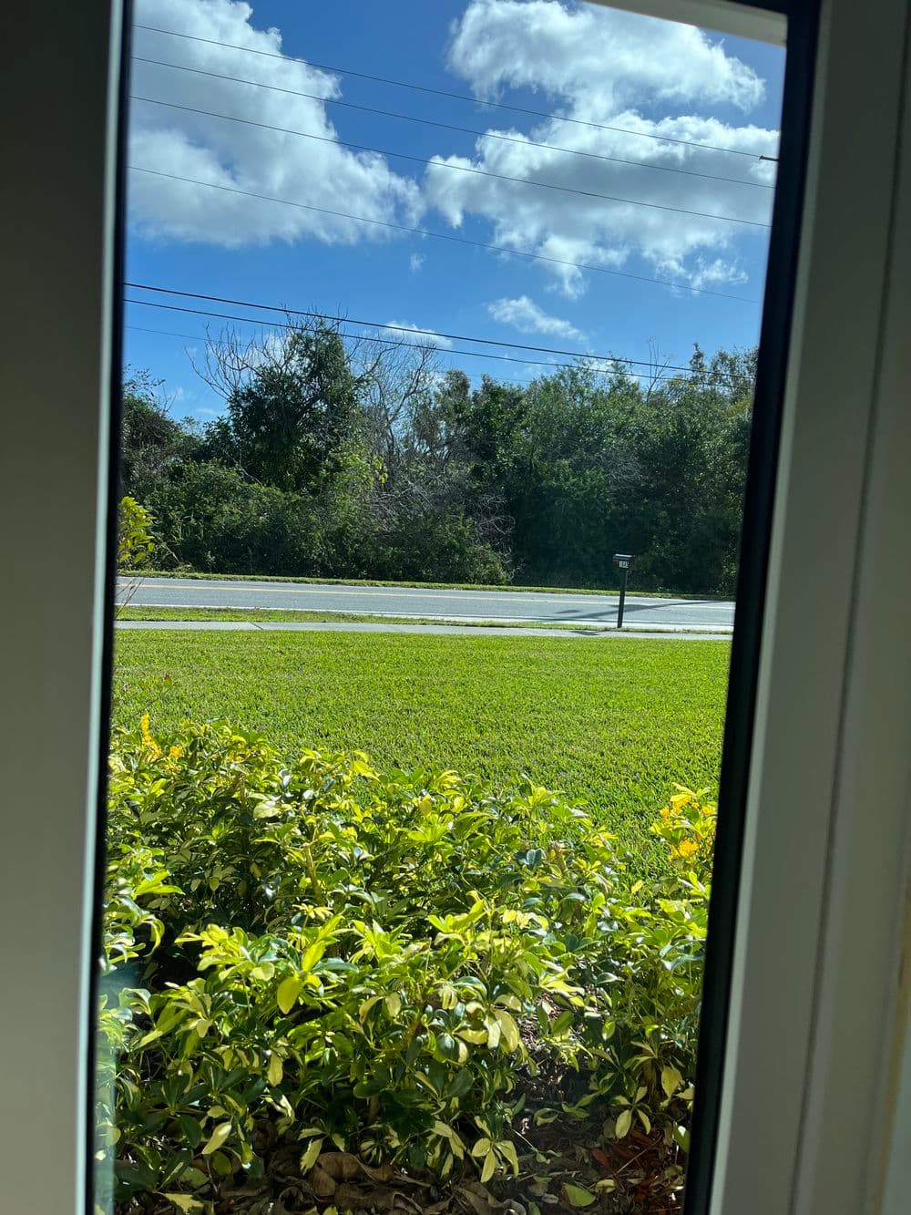 View through a window showing grass, shrubs, and a clear blue sky with scattered clouds.