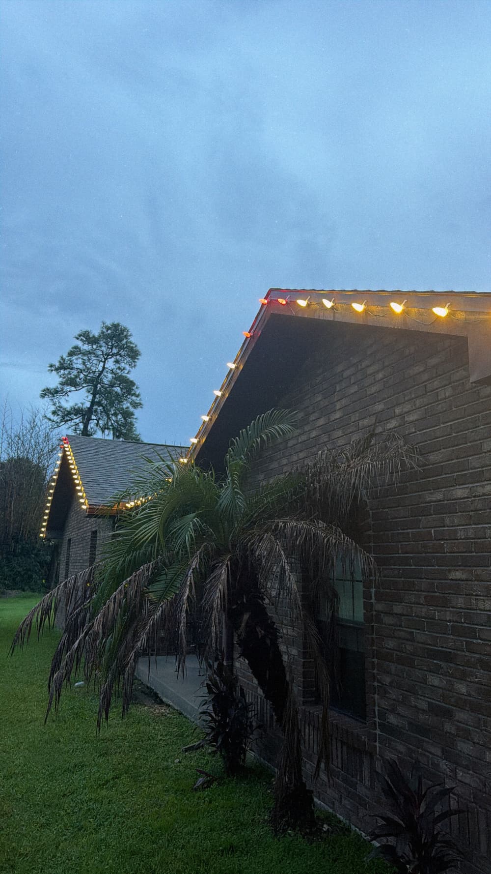 Warm White Roofline Christmas Lights with Red Peak Accents in Canaveral Groves image