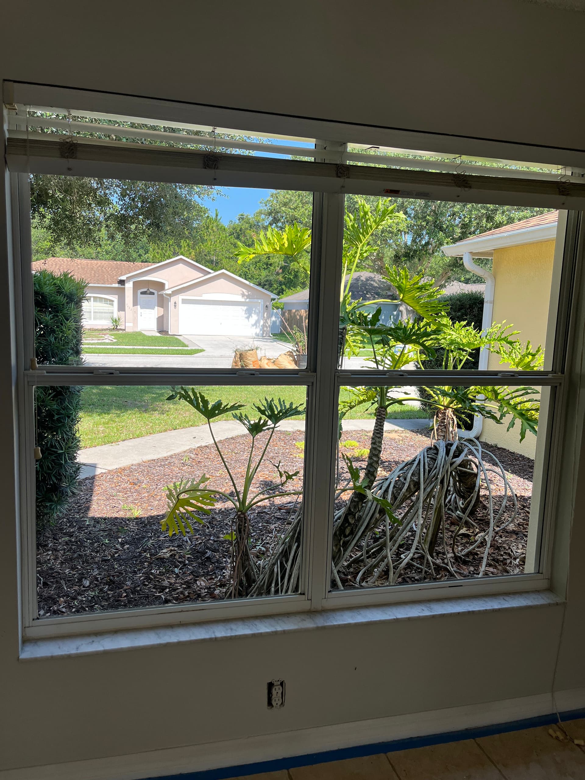 Gallery photos for What Organic Growth Does to Your Home Windows: Image #3
