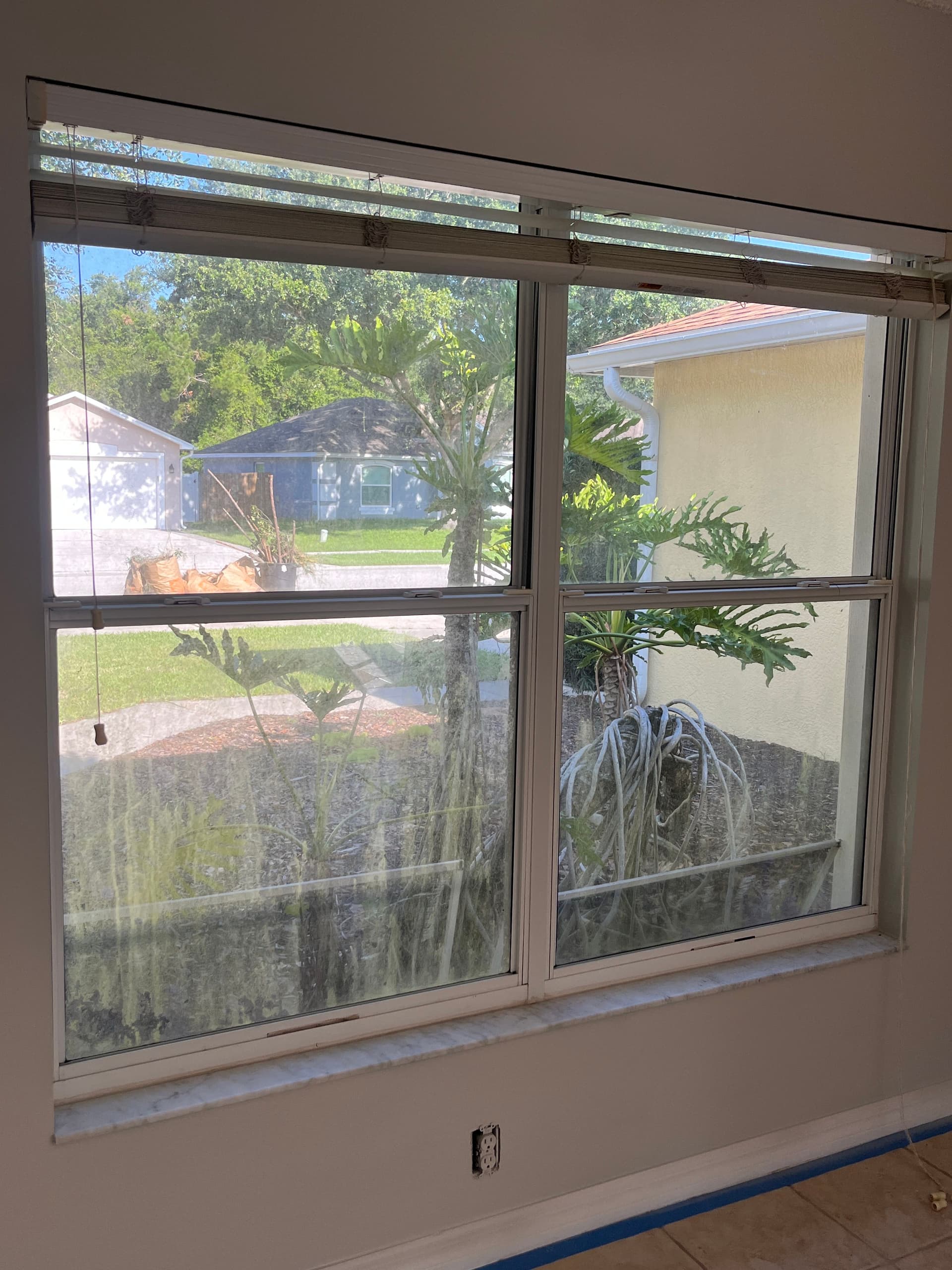 Gallery photos for What Organic Growth Does to Your Home Windows: Image #2